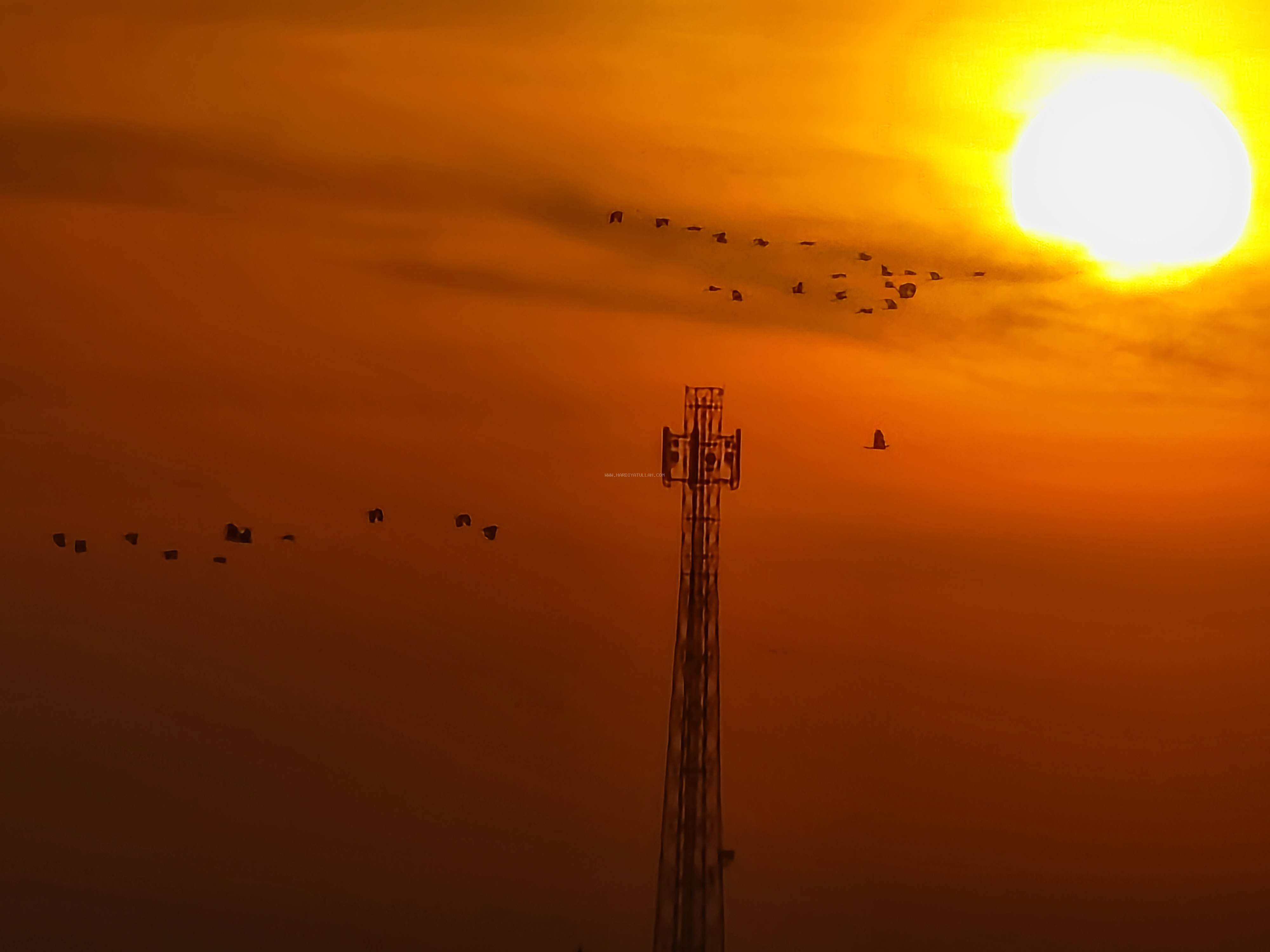 Waktu Pagi dan Pesan dari Bangau