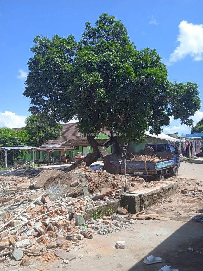 “Pohon Mangga Tua: Kenangan yang Tak Pernah Tumbang”